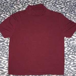Velvet colored turtle neck crop top!